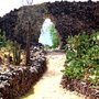 Wari_trail_1_large