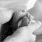 Serfesronan-111-2_thumb