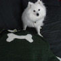 Reggieblanket_large