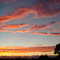 Copy_of_dsc06423_thumb