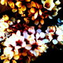 06102009_large