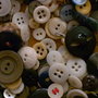 Dscn1668_large
