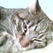Immag058_thumb