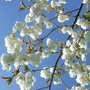 Dscf3857_large