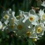Img_3585_large