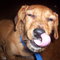 000_2206_thumb