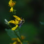 Dsc_0025_large
