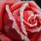 Images_thumb