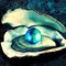 Oyster_thumb