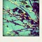 Escanear0046-pola_thumb