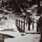 Hike_371_thumb