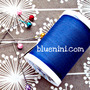 Bluenini_title_page_fb_large