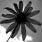 Flower_thumb