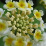 Img_3599_large