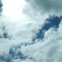 Sd530486a_large