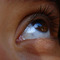 Dsc01094_thumb
