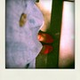 Img_0647-pola_large
