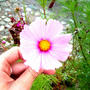 661026102_l_large