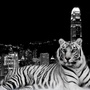 Tiger-and-the-city-wallpapers_12775_1024x768_large