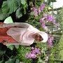 Dsc00708_large