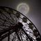 L_94c9db377a6892fa46aa95137a3b0e30_thumb