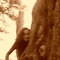 Bild0555_thumb