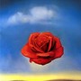 Salvador_dali_gallery_the_rose_large