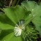 100_3181_thumb