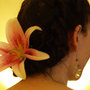 N76200321_30682382_4457_large