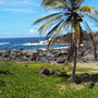 Dsc00328_large