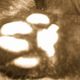 Image153_large