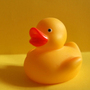 Duckieav_large