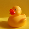 Duckieav_thumb