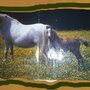 Pic_0006_large