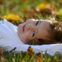 Dsc_3974_large