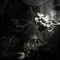 Burda_profile_thumb