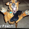 Jazz_paws_thumb