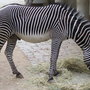 100_3859_large