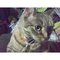 Lulamae_thumb