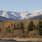Dsc00460_thumb