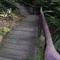 Steps_looking_down_thumb