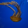 Img_4069_large