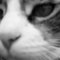 My_sweetheart_mille_-_kopie_thumb