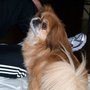 100_0447_large