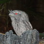 Dscf2082_large
