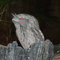 Dscf2082_thumb