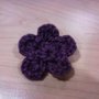 Hair_clip_large