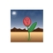 Rose_thumb