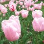 100_1272_large