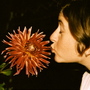Flowerpower_large